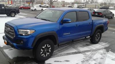 Truck Max 4 inch curved oval step bars on a Toyota Tacoma